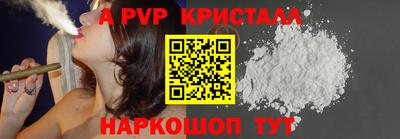 spice Гатчина