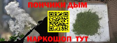 spice Гатчина