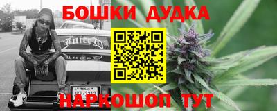 spice Гатчина