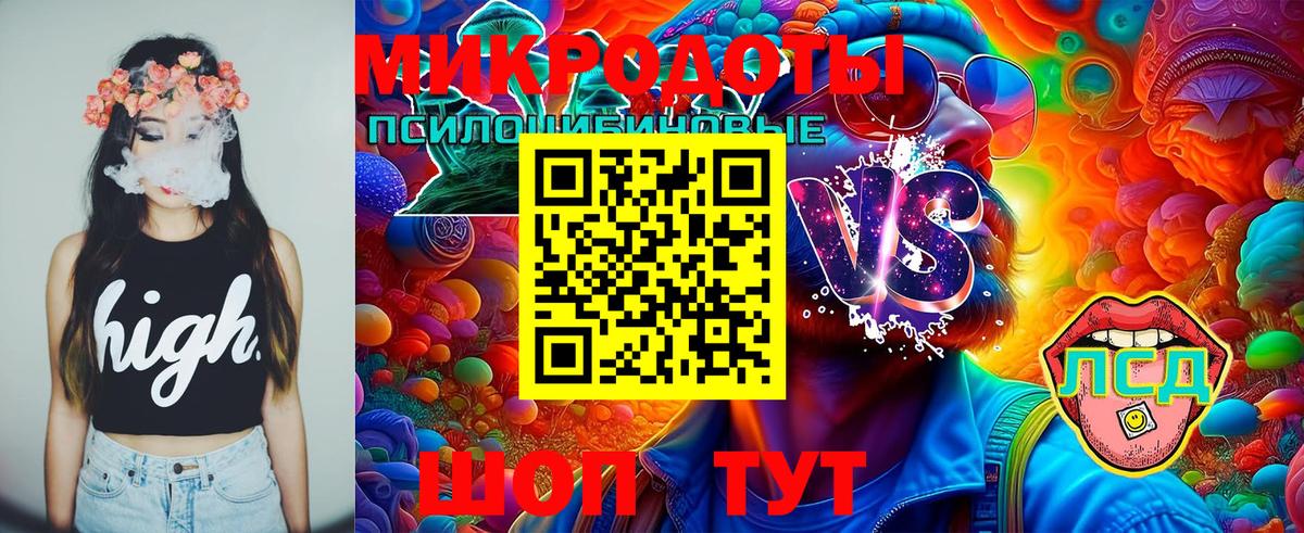 Псилоцибиновые грибы Psilocybe Камень-на-Оби