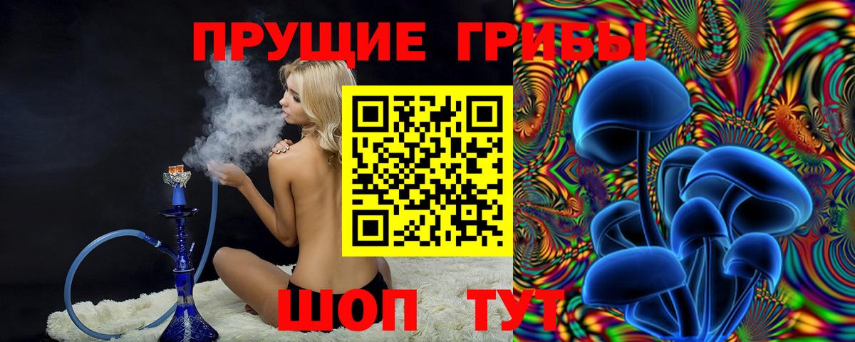 Псилоцибиновые грибы ЛСД  Псилоцибиновые грибы прущие грибы  Камень-на-Оби  Вход с VPN 